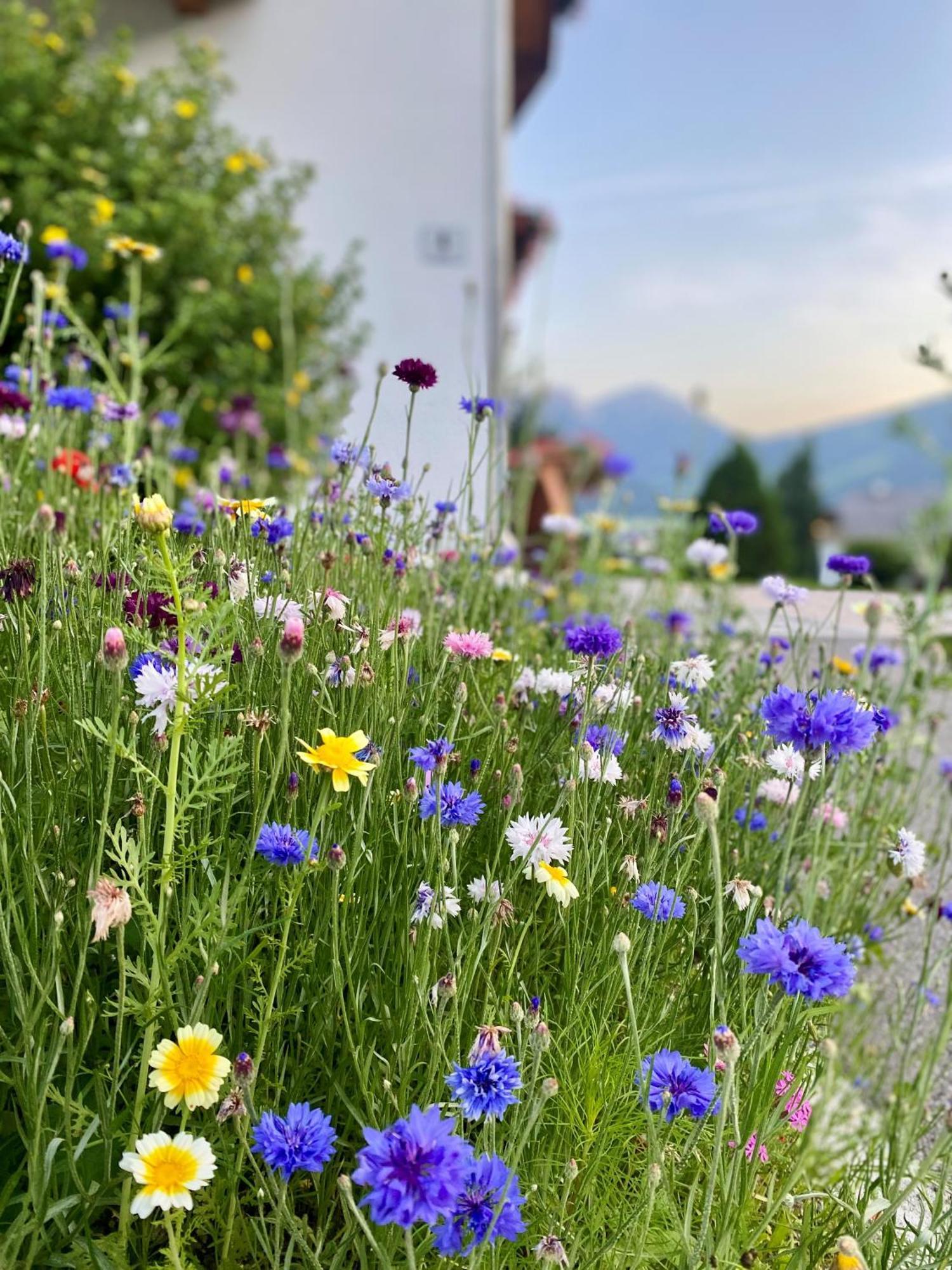 Appartements Wiesenheim Rasun di Sopra Eksteriør bilde