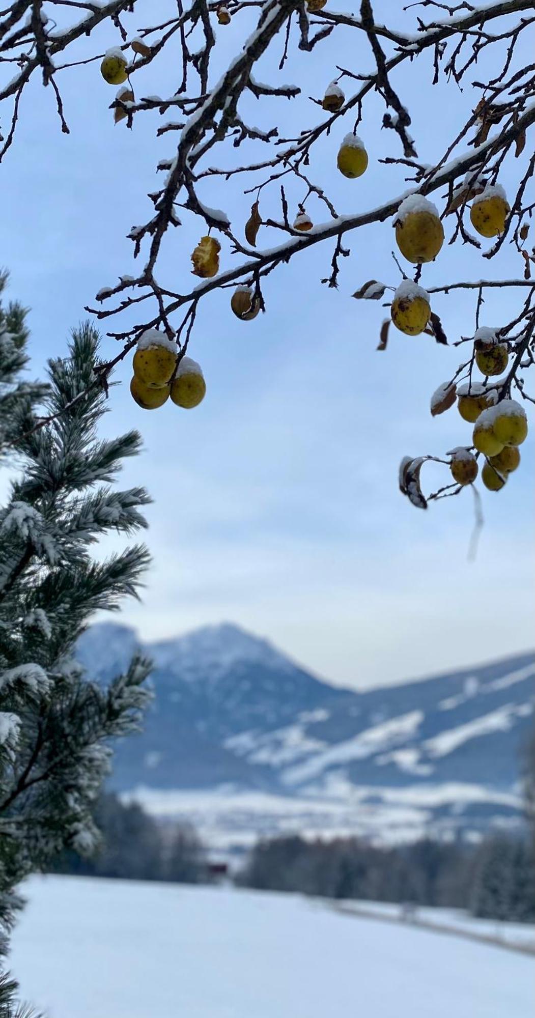 Appartements Wiesenheim Rasun di Sopra Eksteriør bilde